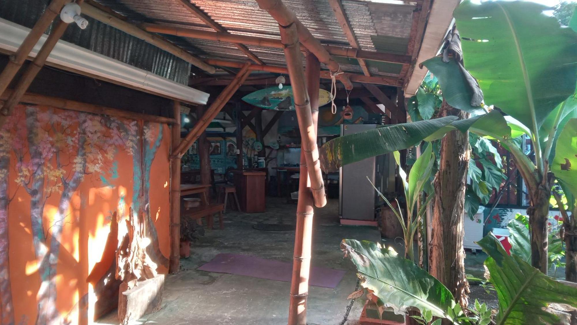 Hotel Osa Surf House Puerto Jiménez Exterior foto